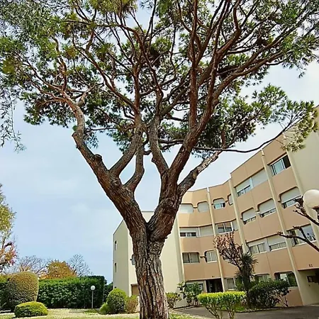 06bm Modern For 4 - Terrace - Swimming Pool - Parking * Αντίμπ